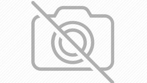 金融系統演變的洞察力